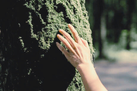 5 Ways to Ground Yourself Using the Senses