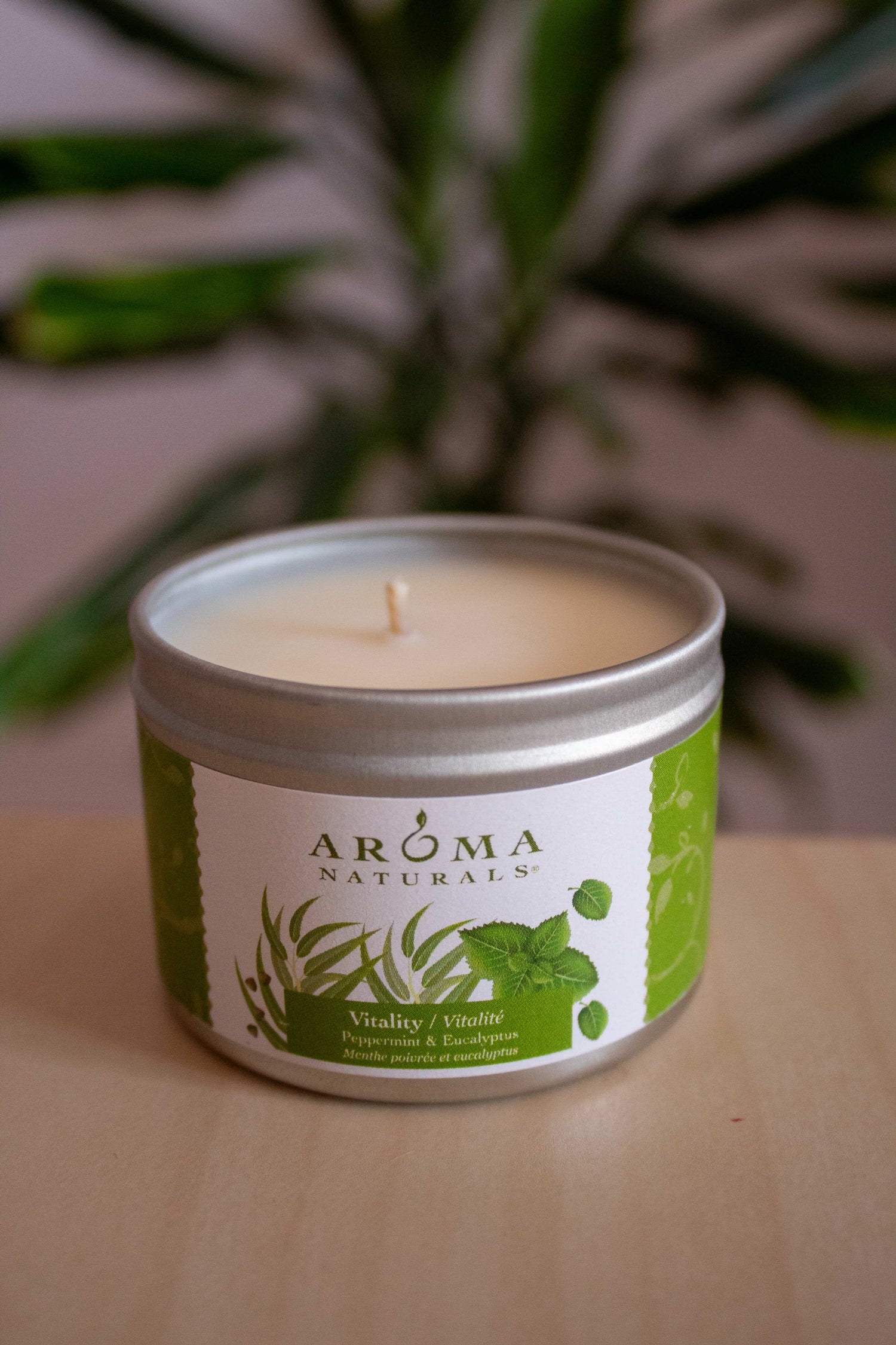 Peppermint and eucalyptus Aroma Naturals soy candle tin photographed with a blurred green plant background.